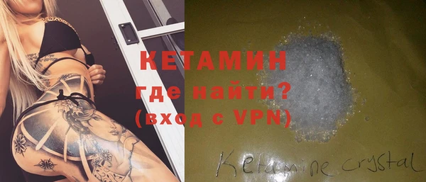 шишки Покачи
