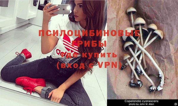 твердый Балахна