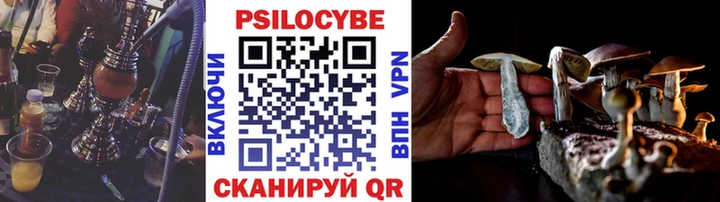 Галлюциногенные грибы Cubensis где найти наркотики Шлиссельбург